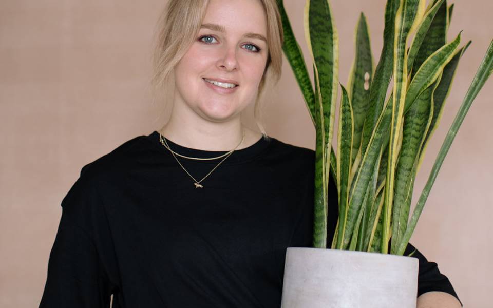 FREE repotting service Green Rooms Plant Market Turner Contemporary